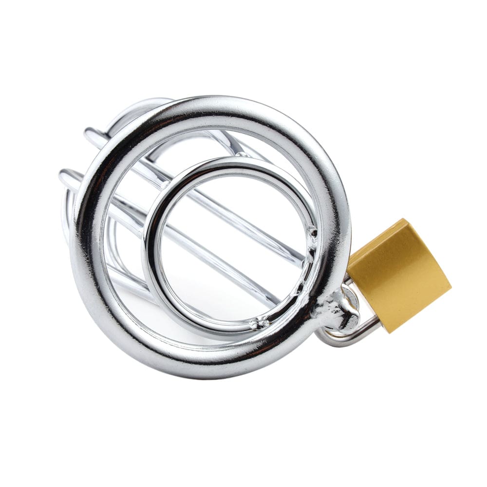 Lockingbird Metal Device, a rigid stainless steel cage providing ultimate security and excitement in chastity play.