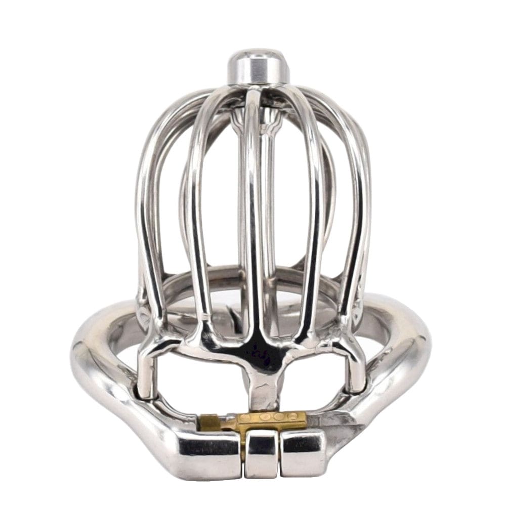 What you see is an image of the metal cage of Classic Birdcage Steel Urethral Tube Cage.