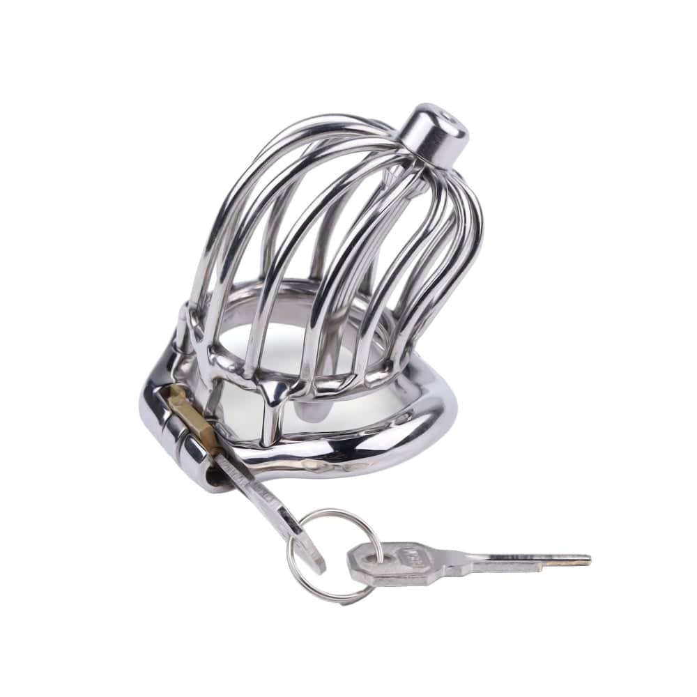 Presenting an image of the built-in brass lock of Classic Birdcage Steel Urethral Tube Cage.