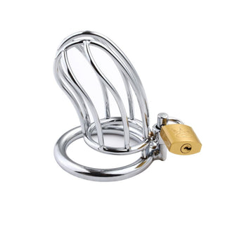 Observe an image of Lockingbird Metal Device, a stainless steel chastity cage with padlock and rings for ultimate tease and denial play.