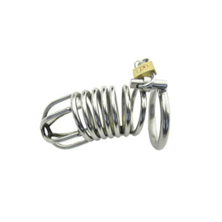 Presenting an image of Extreme Discipline Holy Trainer Urethral Male Chastity Cage, a metal cage providing security and durability for intense play.