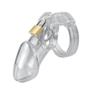 Observe an image of Touch-Me-Not Plastic Cage in transparent color with a C-shape ring design for security.