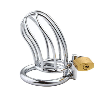 Lockingbird Metal Device, crafted from high-quality stainless steel, offering snug restraint and anticipation in chastity play.