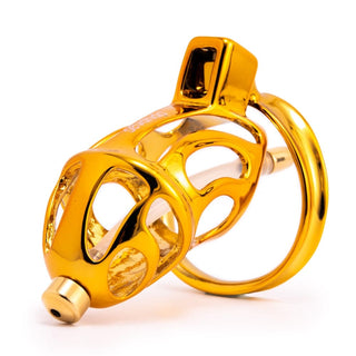What you see is an image of Sevanda Gold Device, a luxurious golden cage for male chastity with strong metal and ventilation holes.