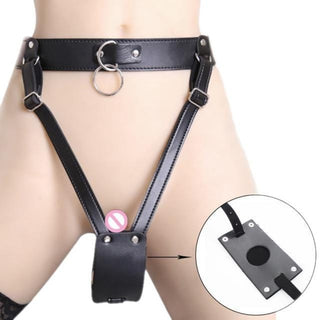 This is an image of a Universal Strap-On Harness for tailored pleasure.