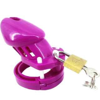 Take a look at an image of Lady Pecker Plastic Device with ring dimensions of 1.34, 1.46, 1.65, 1.77, 1.89 in C-shape.