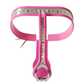 This is an image of Abstinence Enforcer Female Chastity Belt with dual locking mechanism for enhanced security.