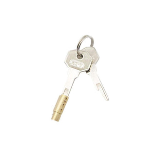 Pictured here is an image of Hinged Type Chastity Key, featuring a silver key and a golden hinge lock for secure intimacy play.