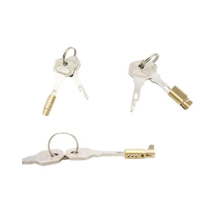 Experience the thrill of possession with this top-grade stainless steel key and lock set for intimate exploration.