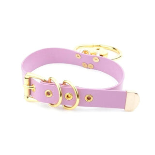 Take a look at an image of adjustable Golden Kawaii Heart Locking Collar Day Collar designed for intimate encounters and obedience training.