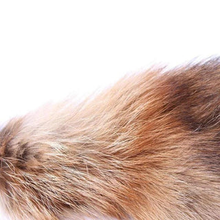 This is an image of a stainless steel butt plug with a brown faux fur tail