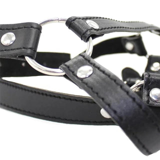 Picture of a triangle of O-rings and chin strap on a ring gag harness, offering a secure and visually appealing design.
