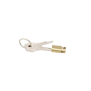 The elegant silver key smoothly fitting into the golden lock, enhancing your intimate moments with ease.
