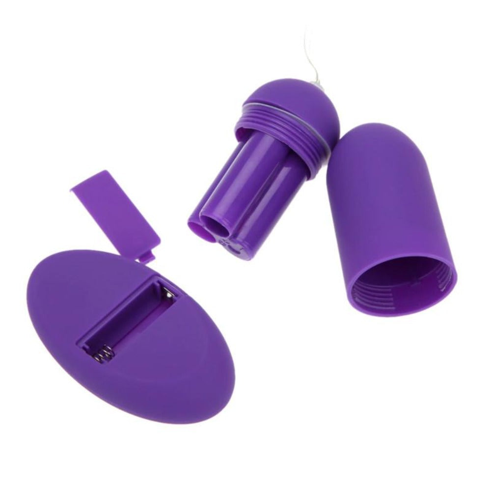 Purple rose butterfly discreet wearable vibrator egg underwear image for pleasurable experiences.