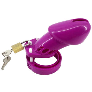 Observe an image of Lady Pecker Plastic Device in purple color made of ABS Plastic.