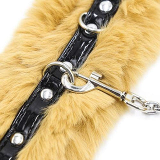 Featuring an image of the metal leash from Brown Furry Beginner