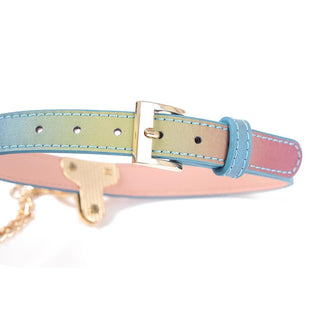 A collar and leash set in rainbow hues, reflecting dominance and submission dynamics.