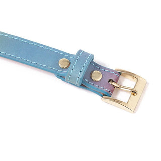 Colorful BDSM collar and leash set for control and obedience in domination.