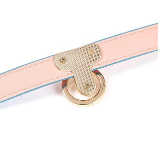 Vibrant Pastel Unicorn Slave Collar and Leash BDSM Leather for power play.