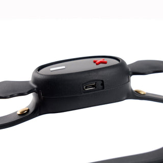Pictured here is an image of Little Devil App-Controlled Collar, featuring 15 variable shock modes and app-controlled functionality for personalized experiences.