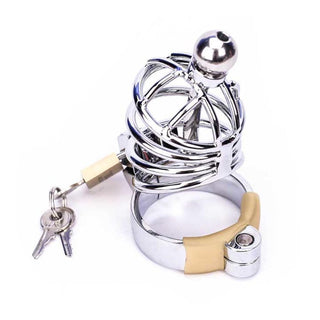 What you see is an image of Short Metallic Urethral Chastity Device with cage, ring, catheter, and padlock.