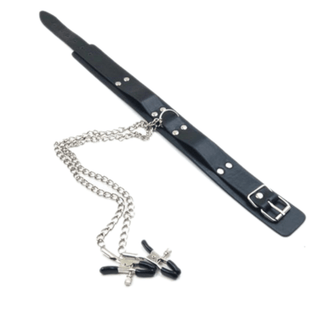 Observe an image of Slave Fantasy BDSM Nipple Clamps showcasing the perfect balance of style and functionality with adjustable clamps and sturdy chains.