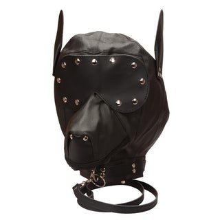 Studded Dog Gimp in black synthetic leather material with adjustable rivets and detachable leash.