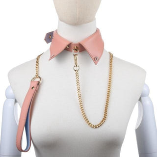 Here is an image of Modern Leather Tie Collar with a detachable leash for versatile play scenarios.