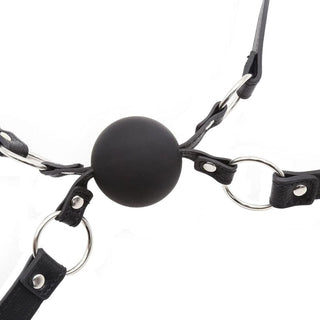 Liplock Bondage Double Ball Gag with premium silicone ball and adjustable PU leather strap for a perfect fit and shared pleasure experience.