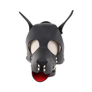 What you see is an image of Leather BDSM Dog Mask featuring metal studs and intricate details for intimate role-play.