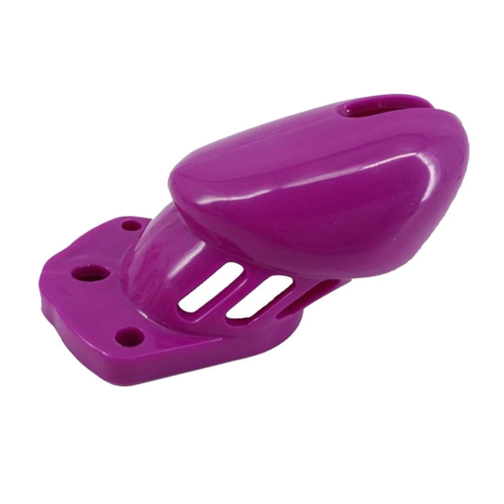 Presenting an image of Lady Pecker Plastic Device showcasing the sleek and durable non-porous surface for hygiene.
