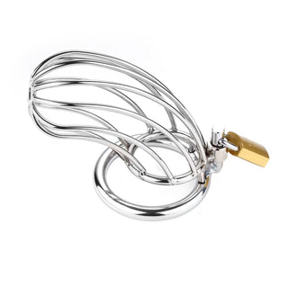 Take a look at an image of Apple of the Eye Metal Chastity Device, a medium-sized device with curved metal rods for comfort and control.