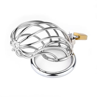 Apple of the Eye Metal Chastity Device