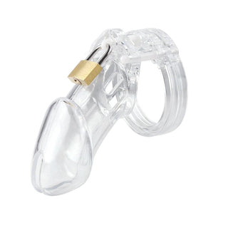 Pictured here is an image of Cum Spectator Resin Cage, a transparent chastity restraint crafted from PC plastic for tantalizing torment play.