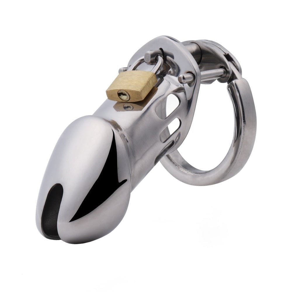 The Dick-tator Steel Chastity Cages