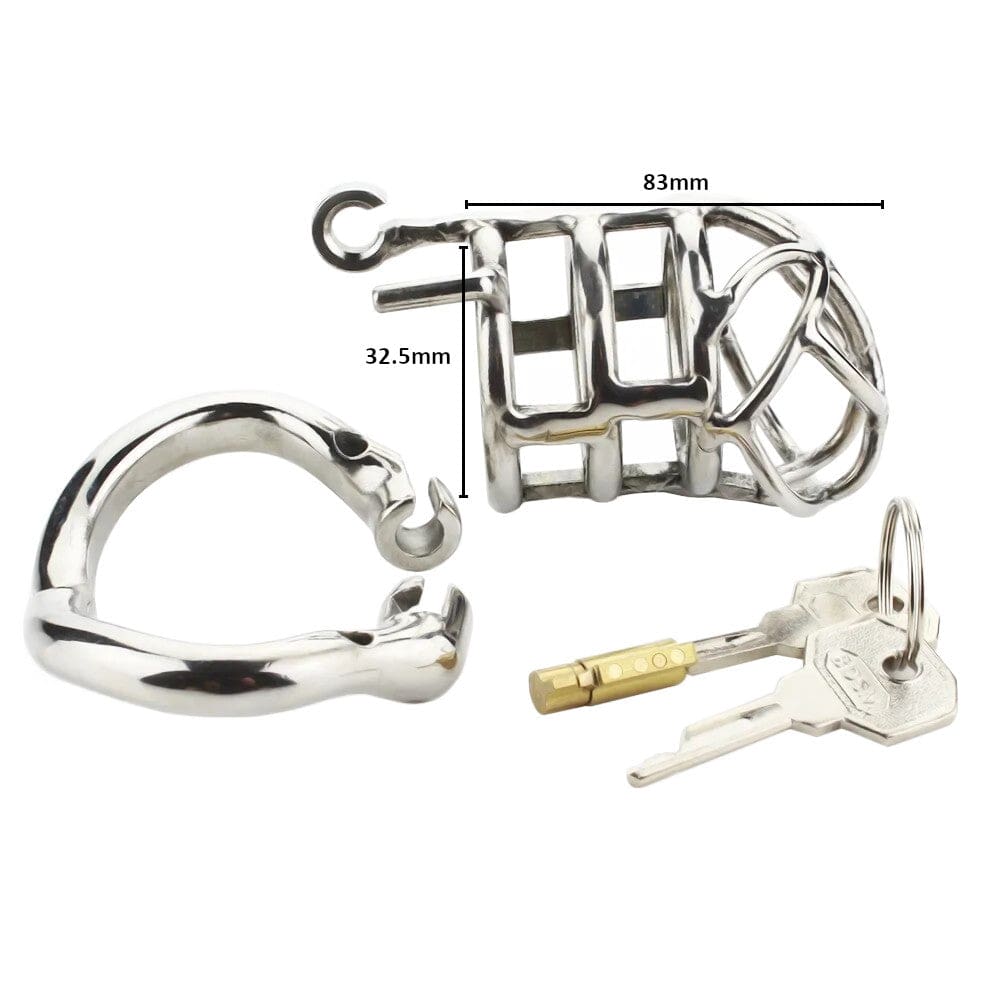 Cock Tamer Small Metal Chastity Cage