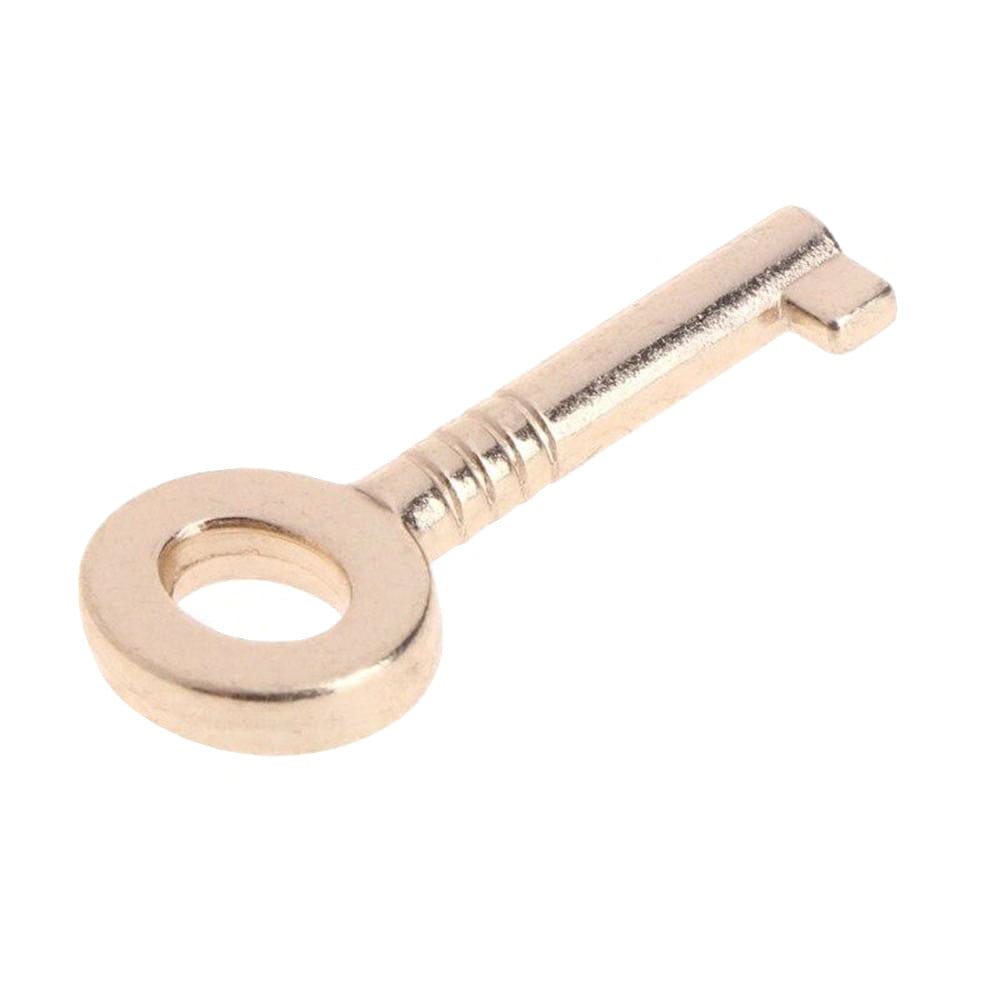 Premium Chastity Lock and Key