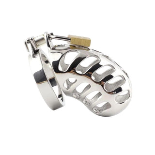 Feast your eyes on an image of Cobra Restraint Metal Cage showcasing its sleek stainless steel design and lock.