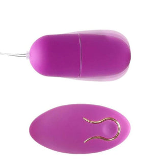 A visual of the egg-shaped vibrator and remote control of the Powerful Wireless Egg Vibrator, offering discreet pleasure at your fingertips.