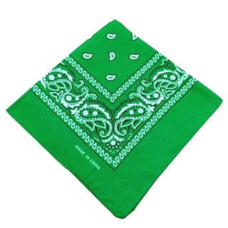In the photograph, you can see an image of a playful and intimate bandana cloth gag
