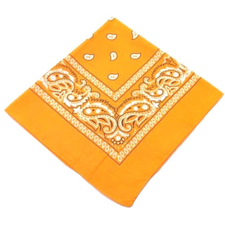 Observe an image of a bandana cloth gag for sensory exploration
