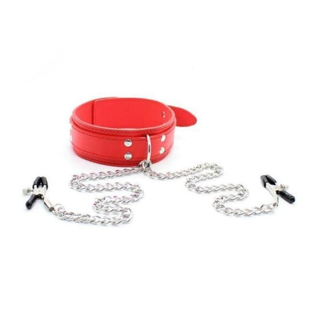 Slave Perfect Collar With Nipple Clamps