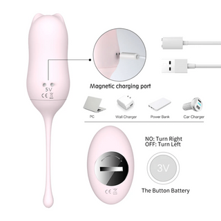 An image showcasing the high-quality silicone and ABS plastic materials used in the Naughty Kitty Vibrating Kegel Balls 2pcs Set.