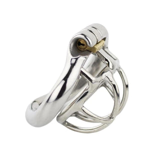 You are looking at an image of Mr. Shorty Small Steel Flat Chastity Device, a stainless-steel device with dragon-themed exterior for enhanced genitorture.