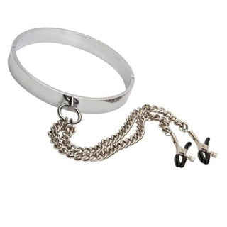 Here is an image of Metallic Clamp Collar, a silver choker with adjustable clamps for sensual pleasure.
