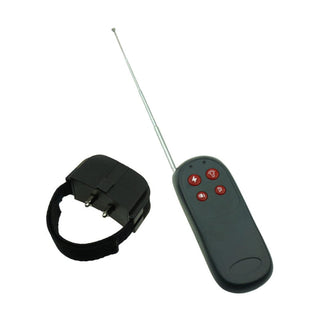 This is an image of a BDSM Taser with a wireless remote control, designed for electrifying intimate play.
