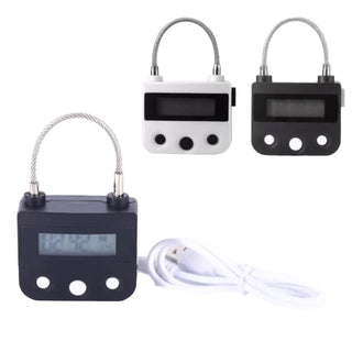 This is an image of Rechargeable Electronic Timer Lock with precision electronic timer.
