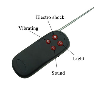This is an image of a BDSM Taser with a remote control, offering adjustable electric currents and multi-sensory features.