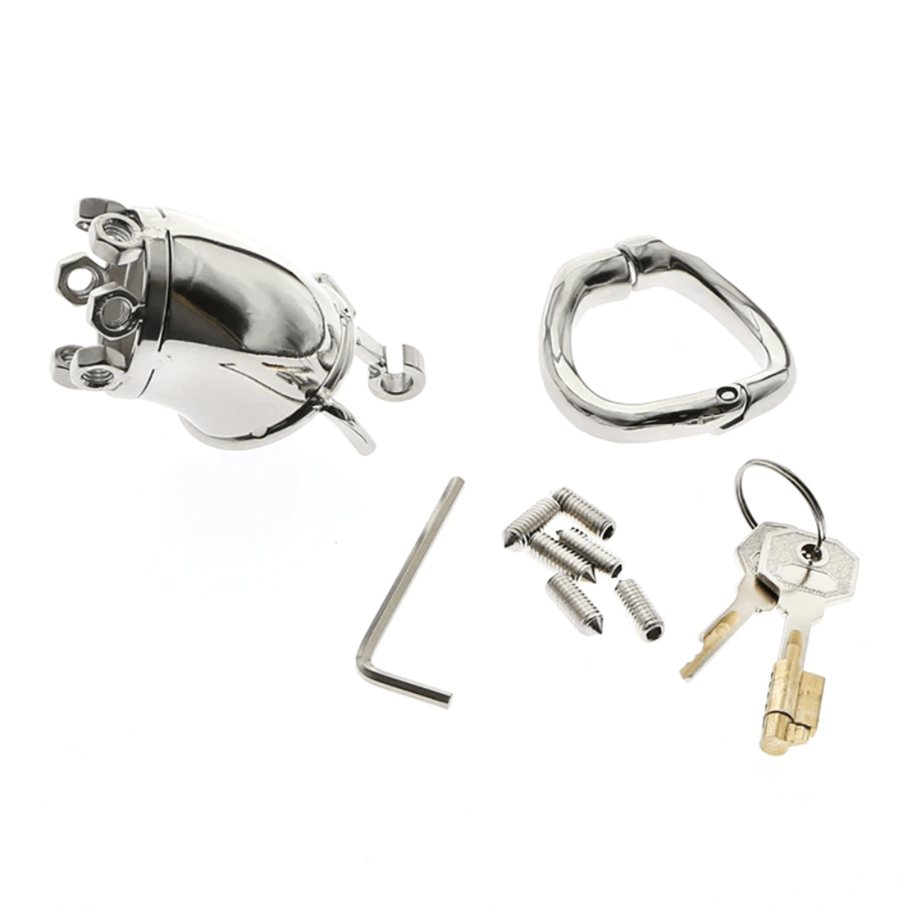Stainless Cock and Ball Restraint Torture Device