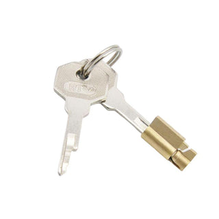 This is an image of Premium Quality Stainless Steel Chastity Key in silver and gold colors.